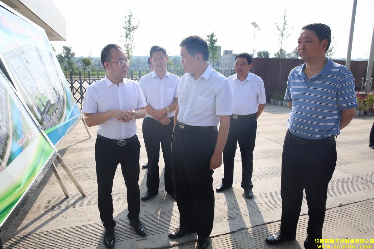 Shaanxi Provincial Department of Commerce Director visit Scip